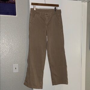 American Eagle Outfitters Tan Wide Leg Pants